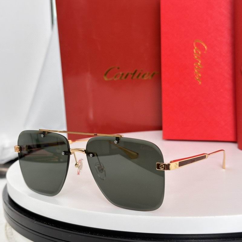 Cartier Glasses 08smh187 (7)