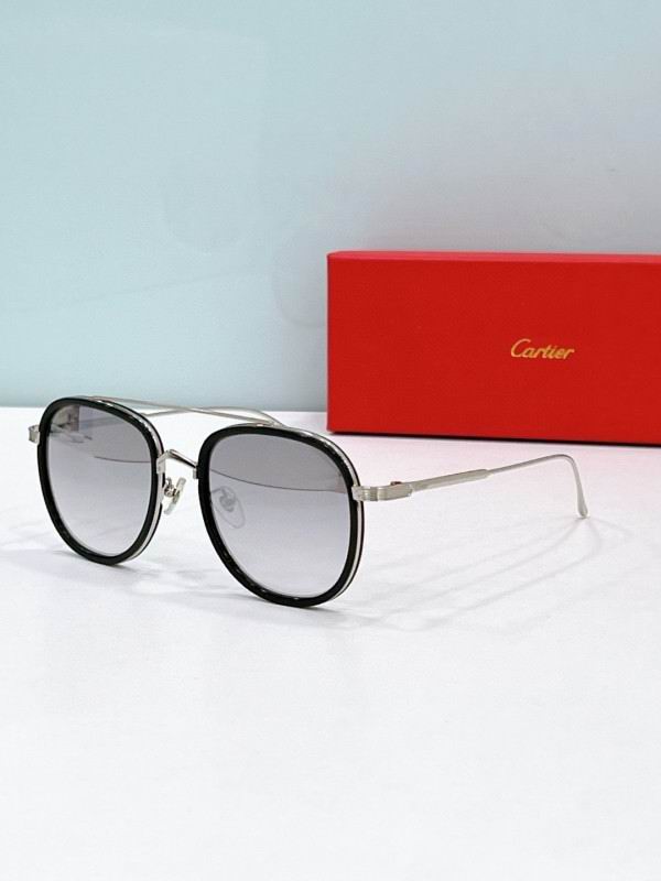 Cartier Glasses 08smh188 (5)