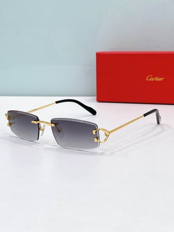 Cartier Glasses 08smh189 (2)