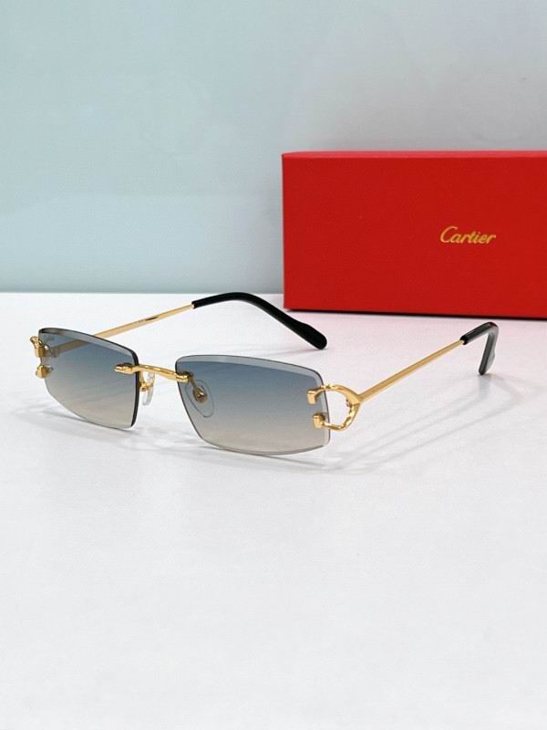 Cartier Glasses 08smh189 (4)