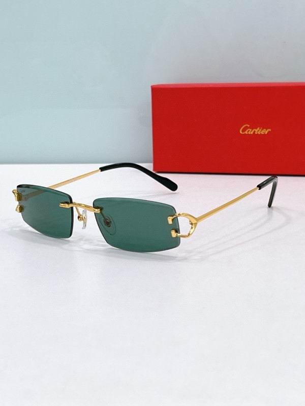 Cartier Glasses 08smh189 (5)
