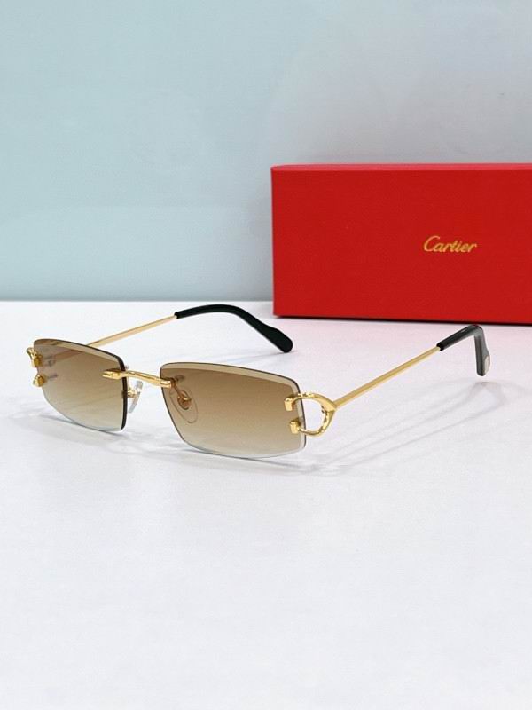 Cartier Glasses 08smh189 (6)