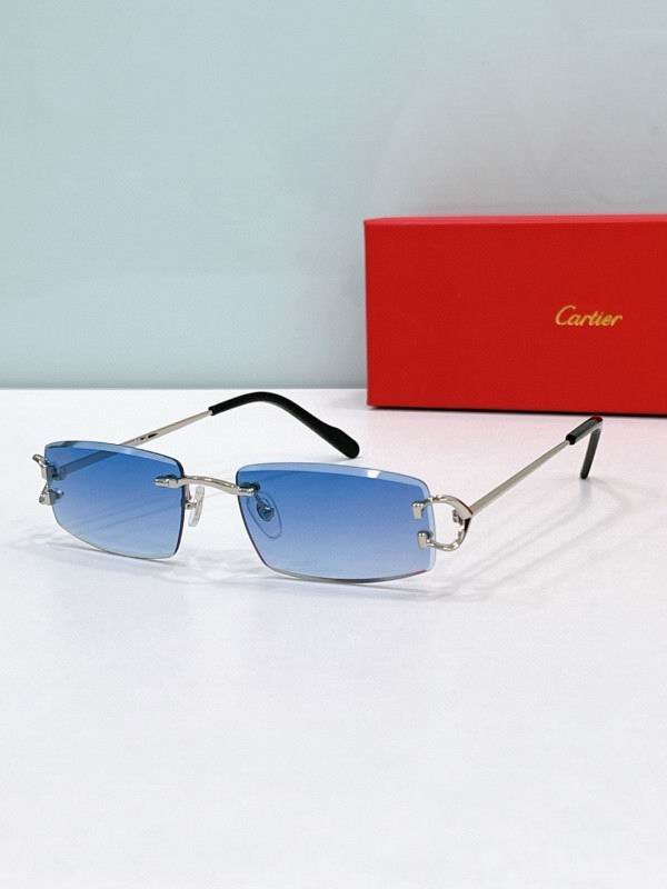 Cartier Glasses 08smh189 (7)