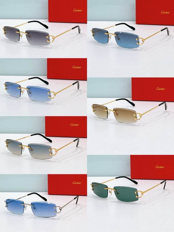 Cartier Glasses 08smh189 (8)