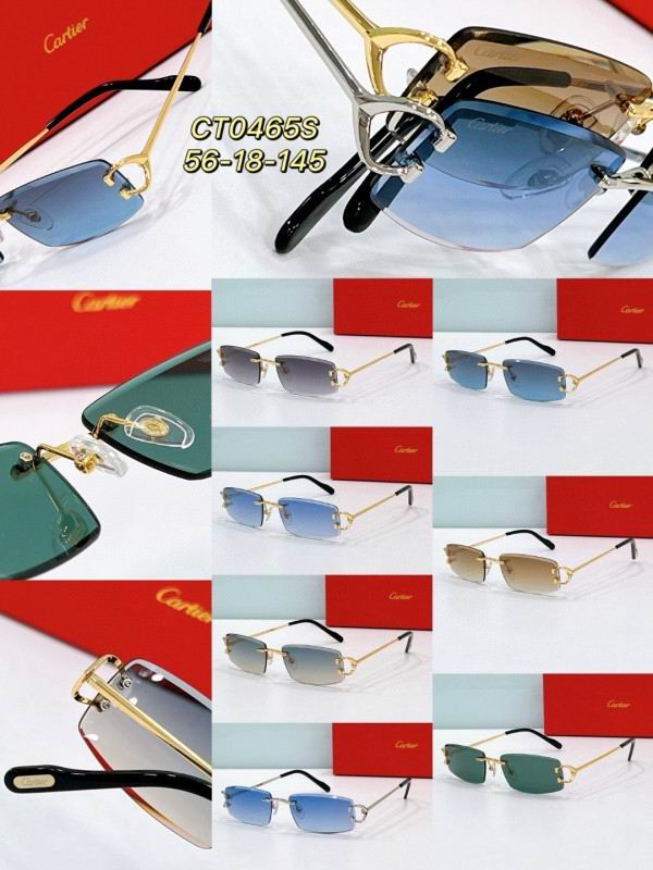 Cartier Glasses 08smh189 (9)