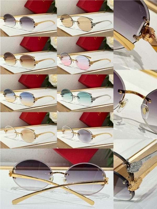 Cartier Glasses 08smh191 (10)