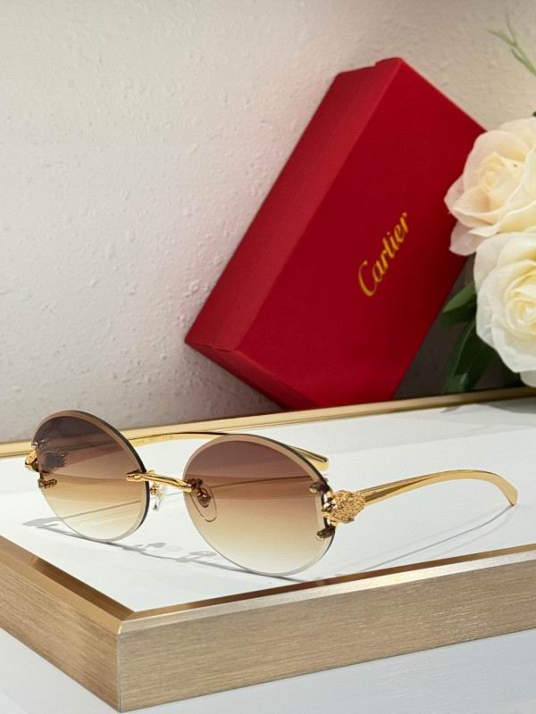 Cartier Glasses 08smh191 (2)