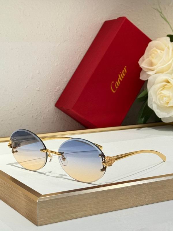 Cartier Glasses 08smh191 (3)