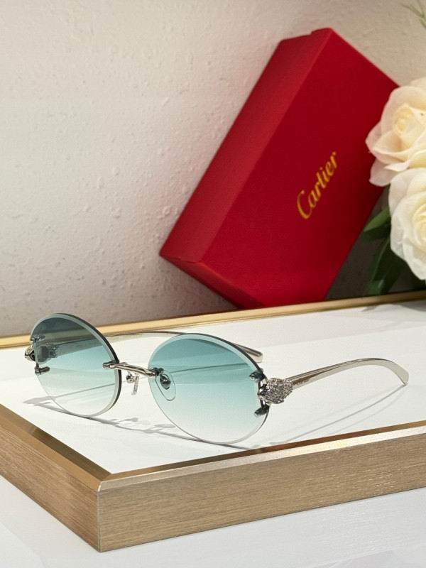 Cartier Glasses 08smh191 (4)