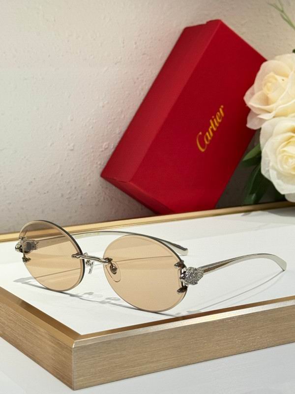 Cartier Glasses 08smh191 (5)