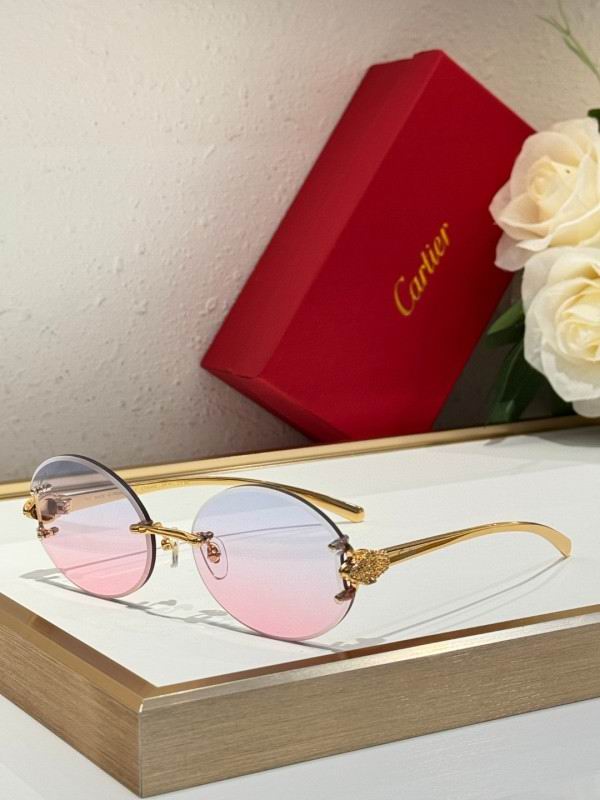 Cartier Glasses 08smh191 (6)