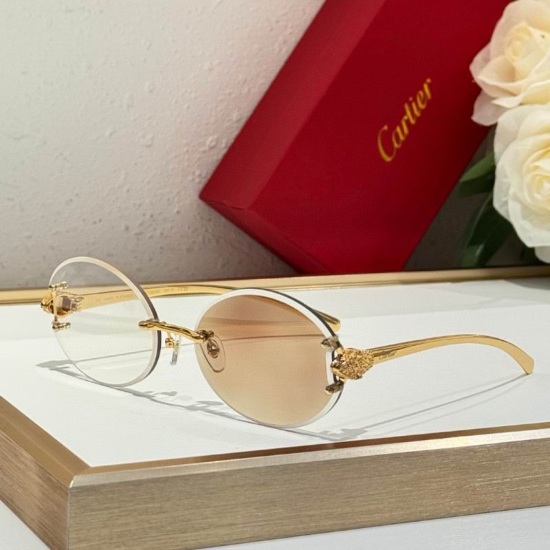 Cartier Glasses 08smh191 (7)