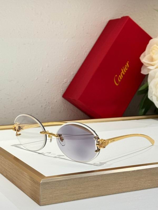 Cartier Glasses 08smh191 (8)