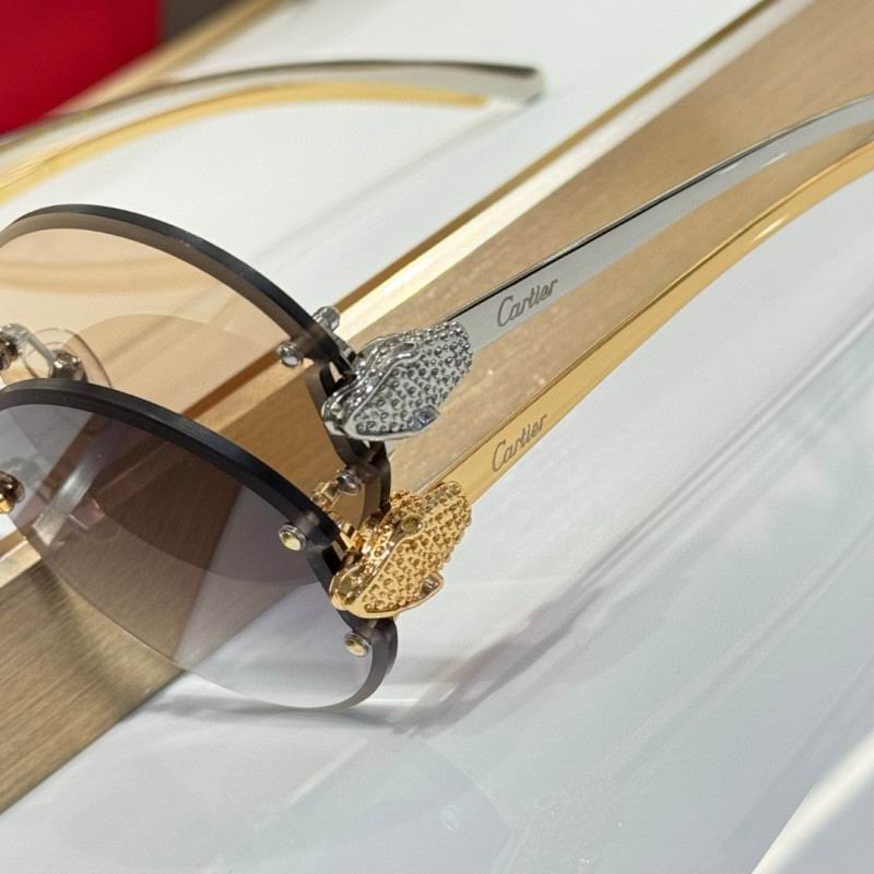 Cartier Glasses 08smh191 (9)