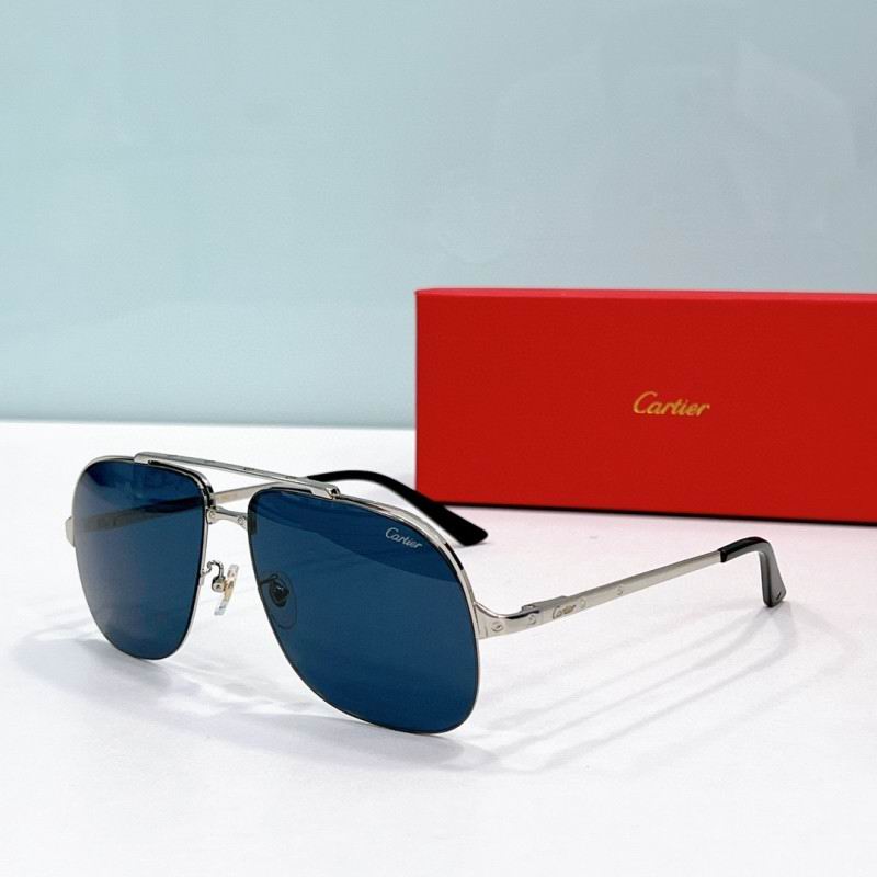 Cartier Glasses 08smh193 (6)