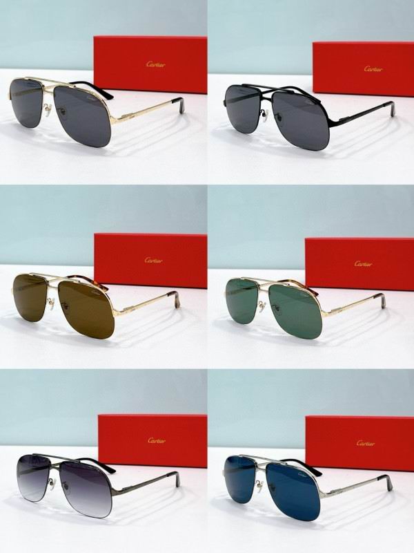 Cartier Glasses 08smh193 (8)