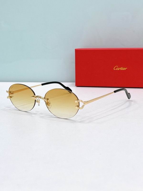 Cartier Glasses 08smh194 (2)