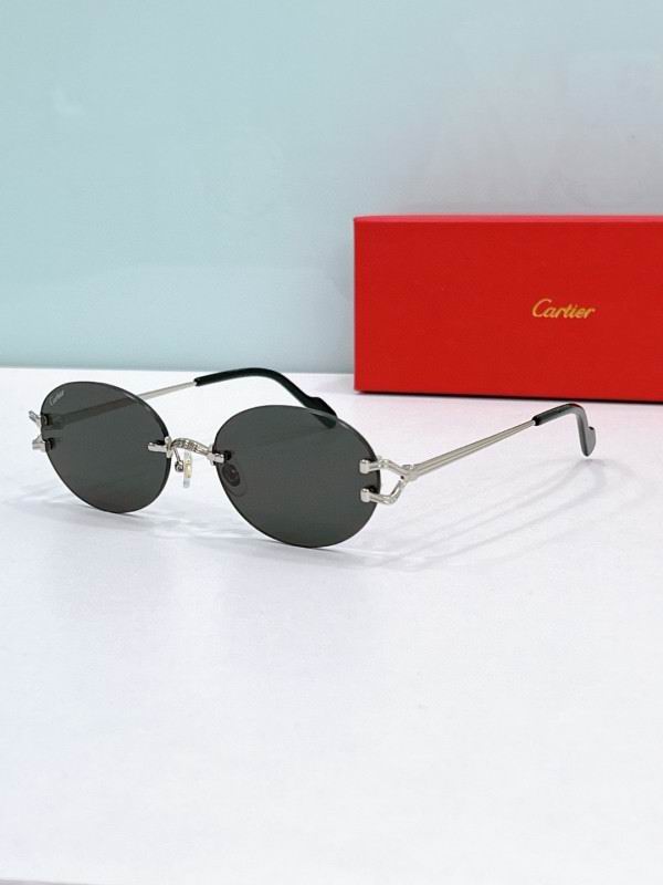 Cartier Glasses 08smh194 (3)