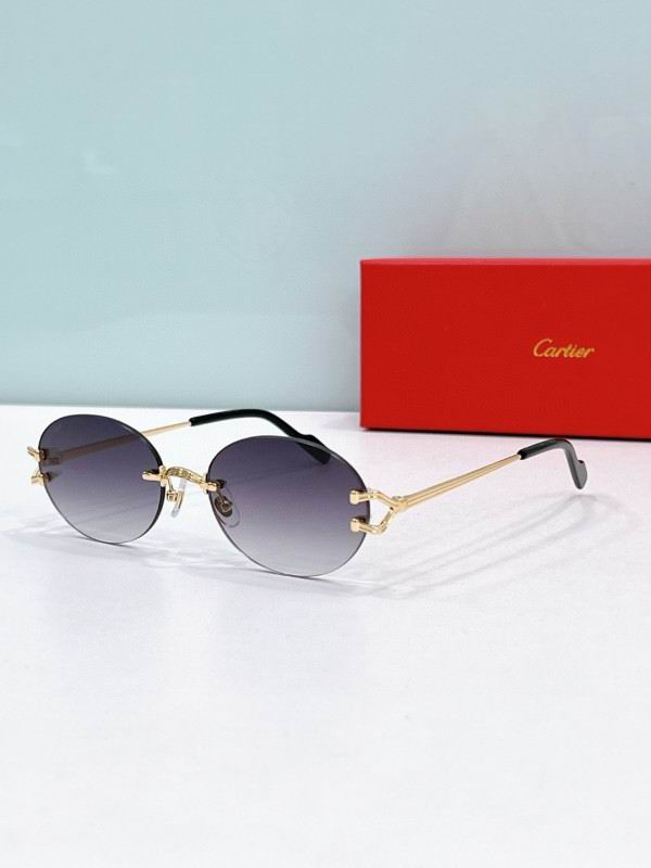 Cartier Glasses 08smh194 (5)