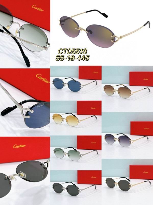 Cartier Glasses 08smh194 (9)