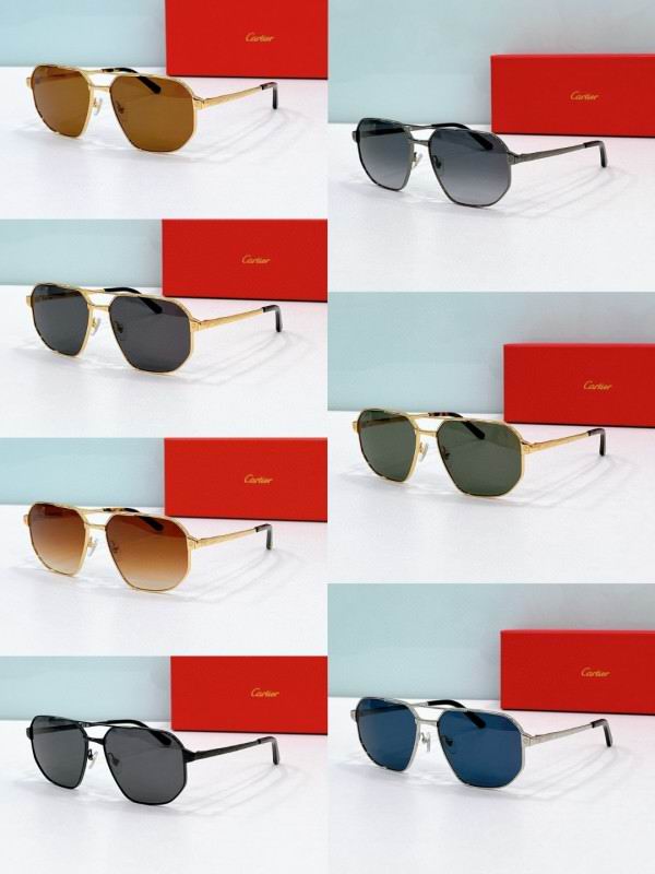 Cartier Glasses 08smh195 (8)