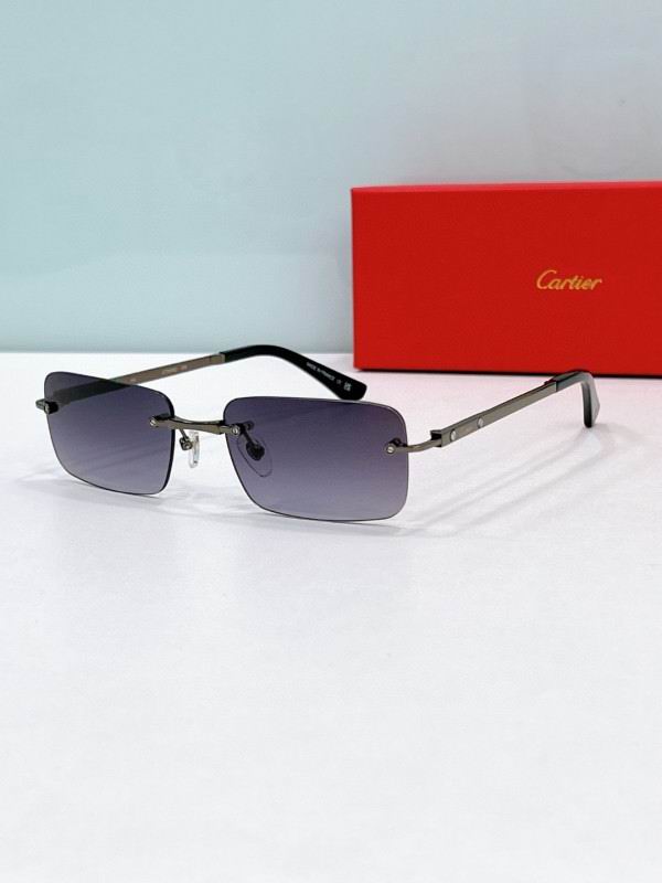 Cartier Glasses 08smh196 (3)