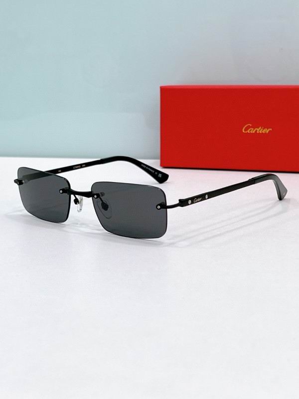 Cartier Glasses 08smh196 (5)