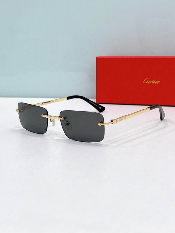 Cartier Glasses 08smh196 (6)