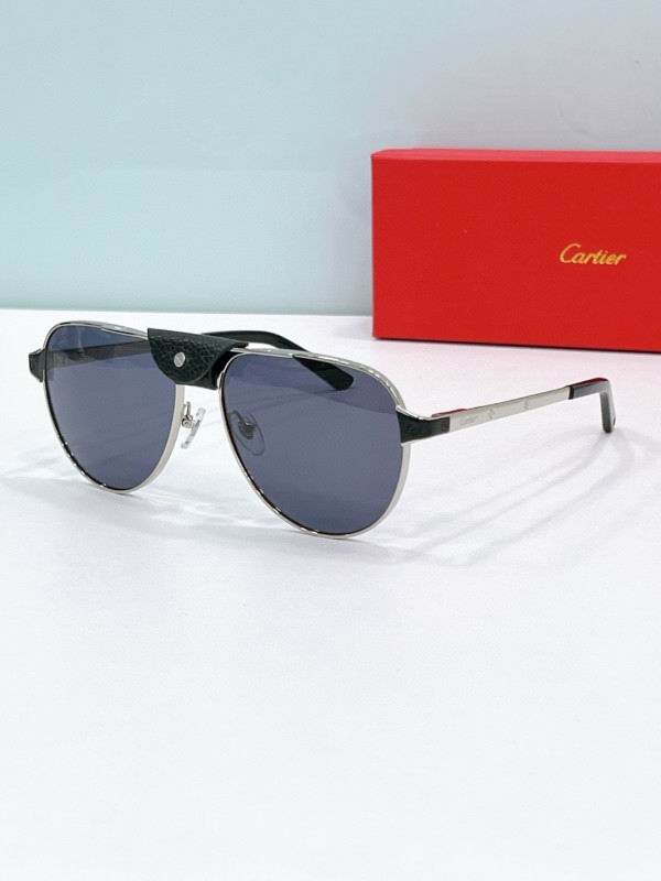 Cartier Glasses 08smh197 (1)
