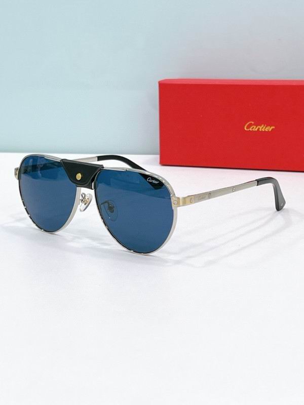 Cartier Glasses 08smh197 (2)