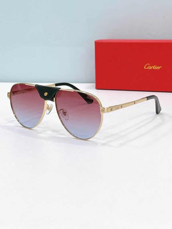 Cartier Glasses 08smh197 (3)