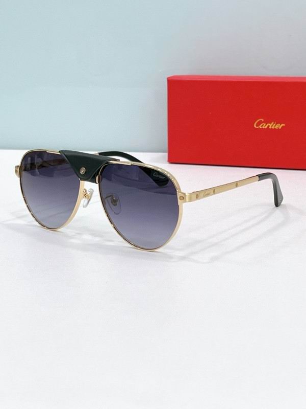 Cartier Glasses 08smh197 (4)