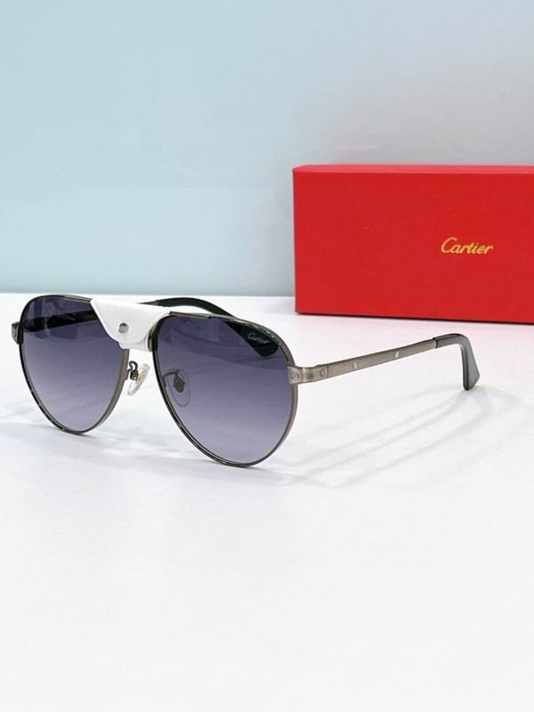 Cartier Glasses 08smh197 (5)