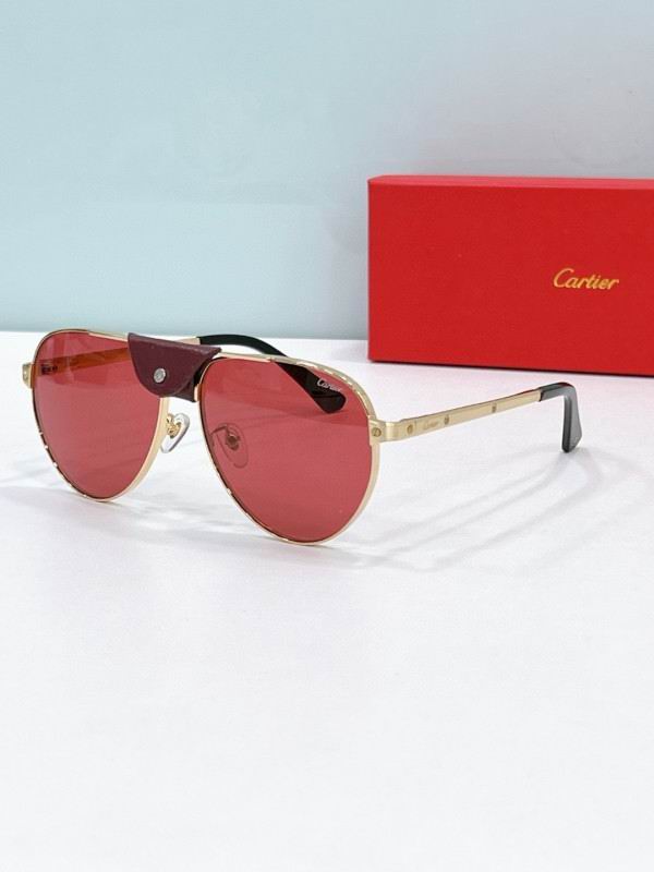Cartier Glasses 08smh197 (6)