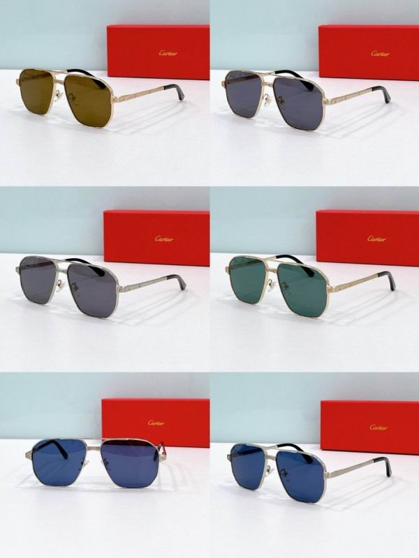 Cartier Glasses 08smh198 (8)