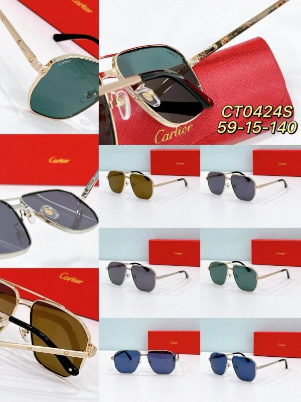 Cartier Glasses 08smh198 (9)