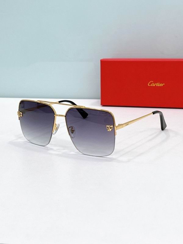 Cartier Glasses 08smh199 (4)