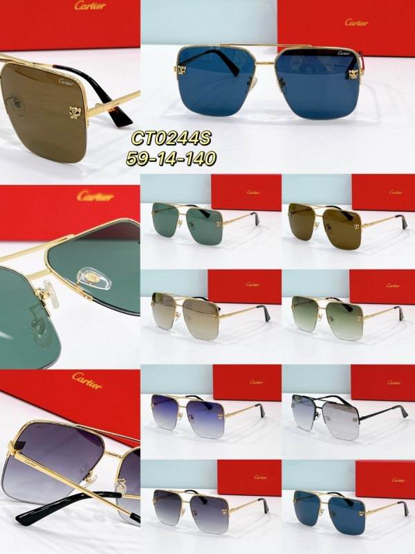 Cartier Glasses 08smh199 (8)