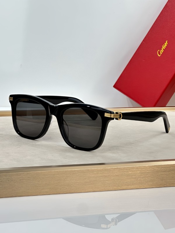 Cartier Glasses 08smh20 (1)