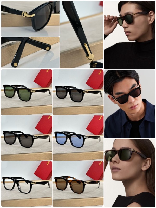 Cartier Glasses 08smh20 (10)