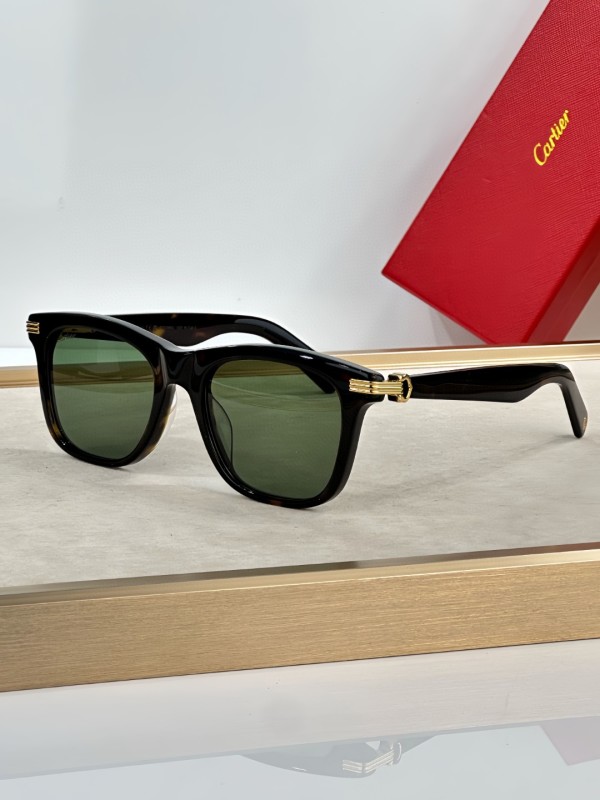 Cartier Glasses 08smh20 (6)