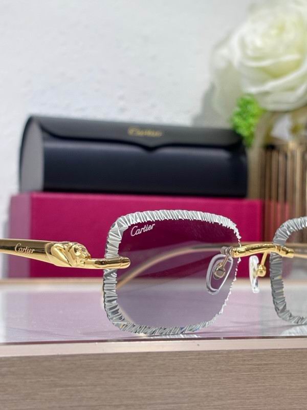 Cartier Glasses 08smh200 (7)