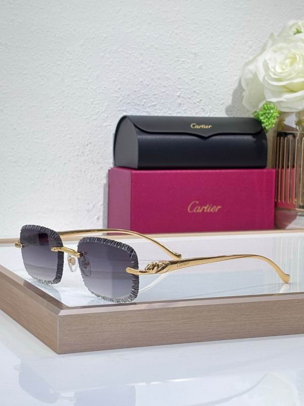 Cartier Glasses 08smh201 (2)