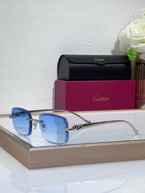 Cartier Glasses 08smh201 (3)