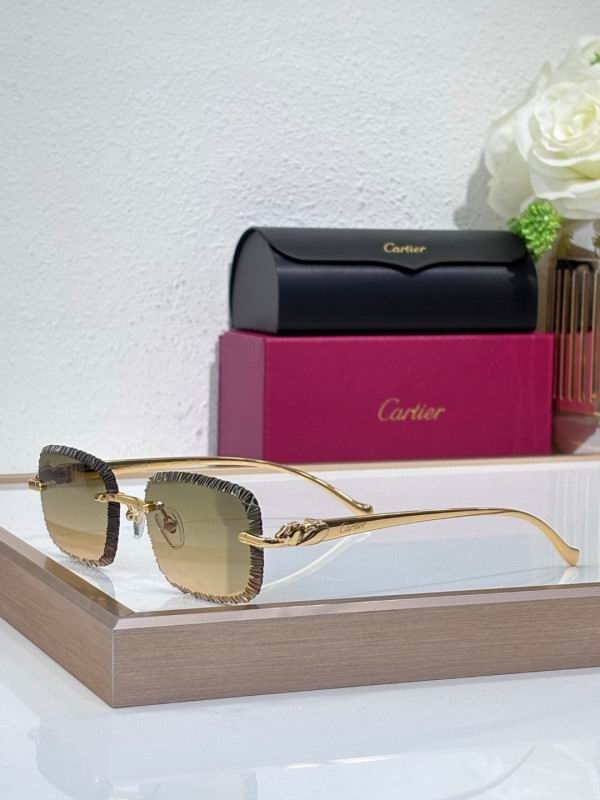 Cartier Glasses 08smh201 (4)