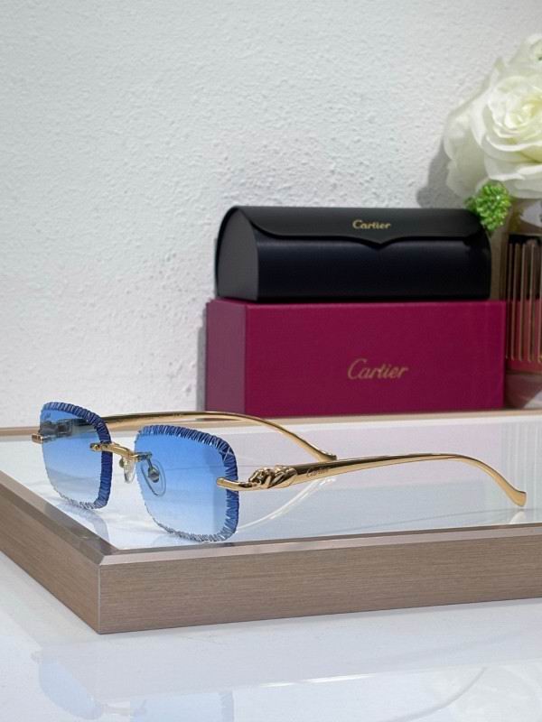 Cartier Glasses 08smh201 (5)