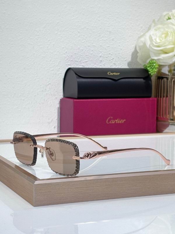 Cartier Glasses 08smh201 (6)