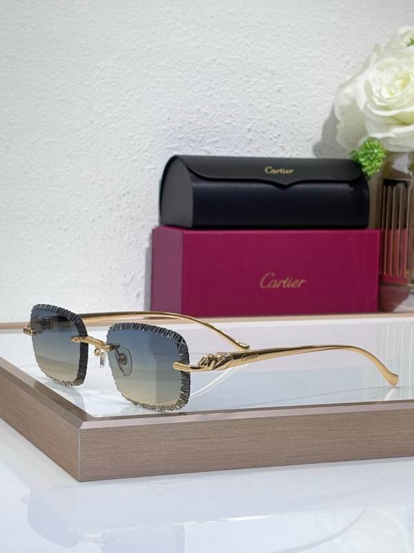 Cartier Glasses 08smh201 (7)