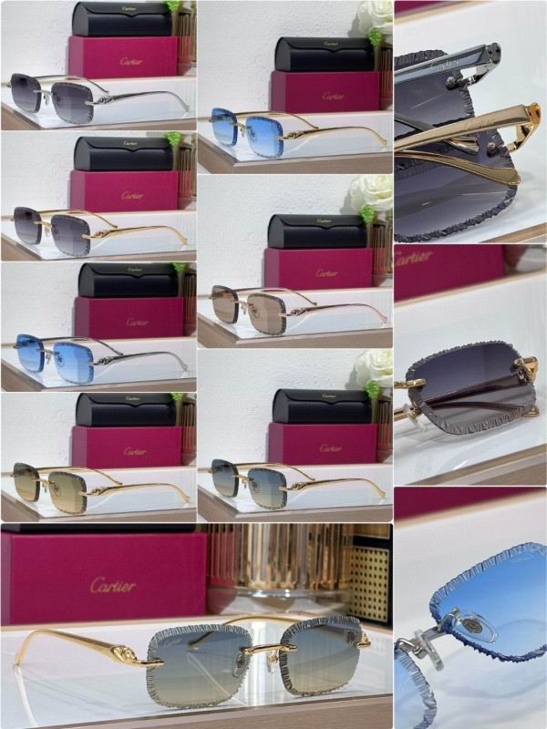 Cartier Glasses 08smh201 (9)