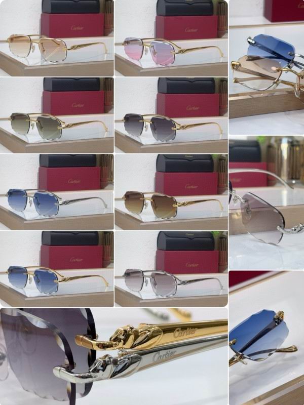 Cartier Glasses 08smh202 (10)